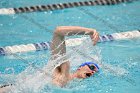 Swimming & Diving vs RWU  Swimming & Diving vs Roger Williams University. - Photo by Keith Nordstrom : Wheaton, Swimming